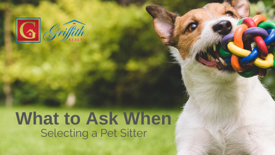 Brighton Pet Sitting