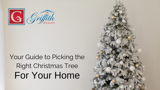 Christmas Tree Brighton