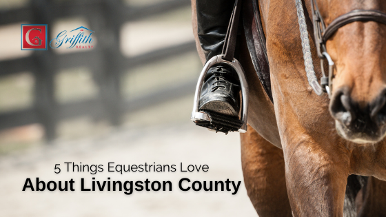 Livingston County Horses