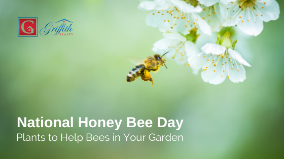 Bees in Livingston County