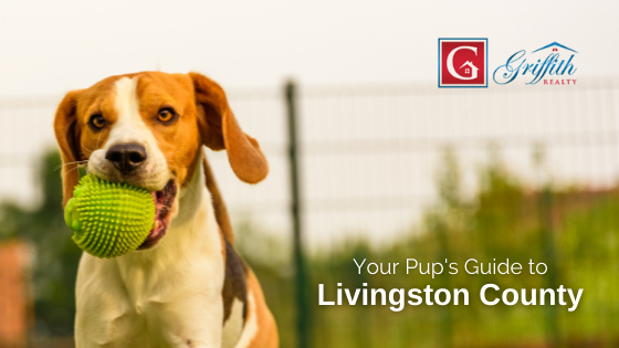 Livingston County Dogs