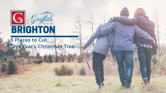 Brighton Area Christmas Tree Farms