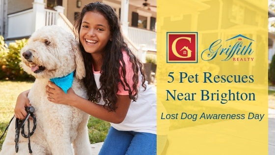 Brighton Pet Rescue Centers