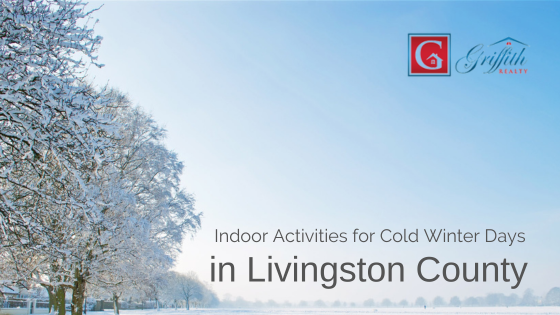 Indoor Activities Livingston County