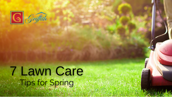 Lawn Care Tips for Spring