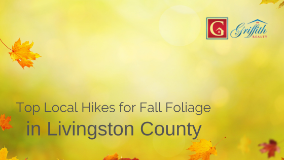 Livingston County hike